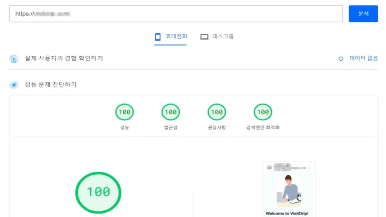 PageSpeed Insights 올100 만들기